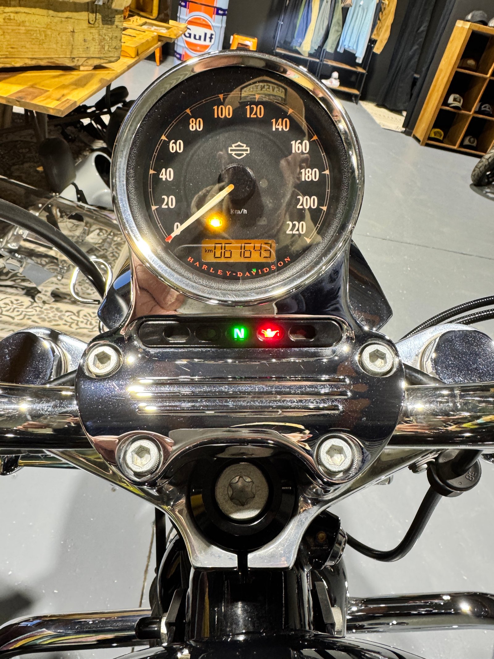 Harley Davidson Sportster 1200 Low